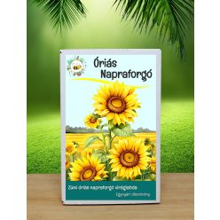 12 db.-os óriás napraforgó viráglabda