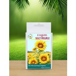   6 db.-os  Legjobb nagymama Feliratos  viráglabda-óriás napraforgó vetőmaggal