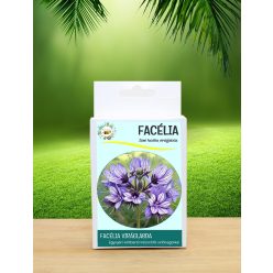 6 db.-os Facélia  viráglabda