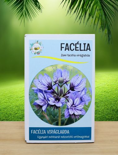 12 db.-os Facélia  viráglabda