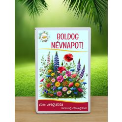   12 db.-os Feliratos névnapi  viráglabda-évelő vadvirág vetőmag keverékkel