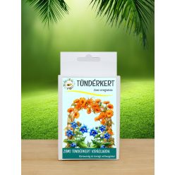   6 db.-os Tündérkert viráglabda (Borágó és körömvirág)