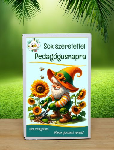 Pedagógusnapi feliratos viráglabda 6 db