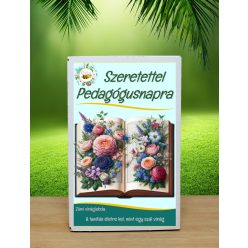 Pedagógusnapra sok szeretettel feliratos viráglabda 6 db