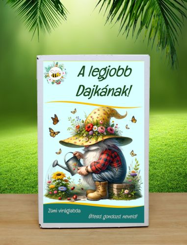 A legjobb dajkának feliratos viráglabda 12 db