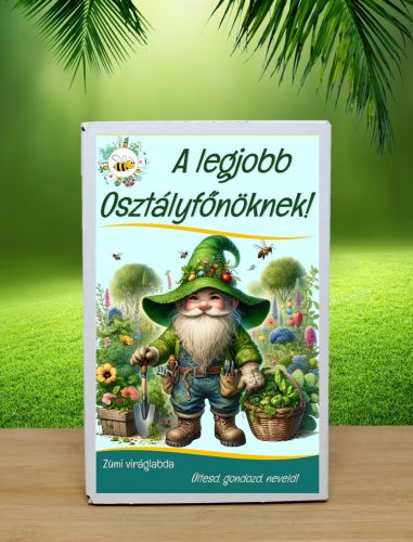 Legjobb osztályfőnök  feliratos viráglabda 12 db