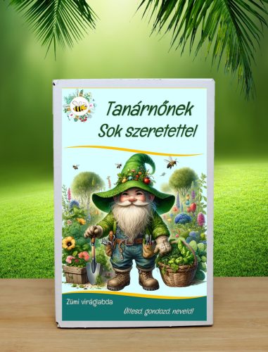 Tanárnőnek sok szeretettel feliratos viráglabda 12 db